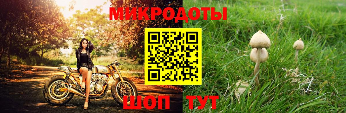 Псилоцибиновые грибы мицелий Удомля